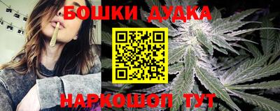 гидропоника Ярославль