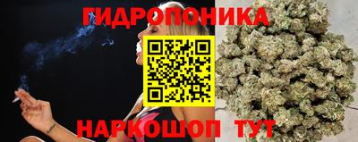 гидропоника Ярославль