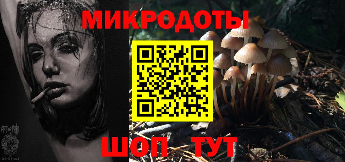 Галлюциногенные грибы Psilocybe  Вход с VPN  Анапа  Галлюциногенные грибы мицелий 